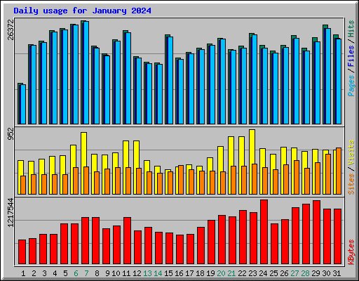 Daily usage for January 2024