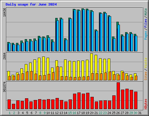 Daily usage for June 2024