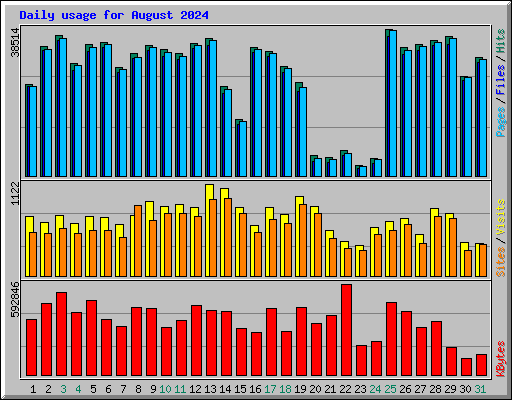 Daily usage for August 2024