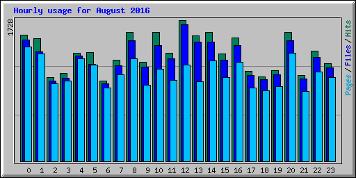 Hourly usage for August 2016