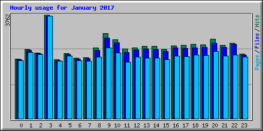 Hourly usage for January 2017