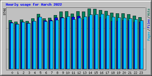 Hourly usage for March 2022