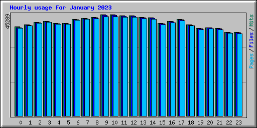 Hourly usage for January 2023