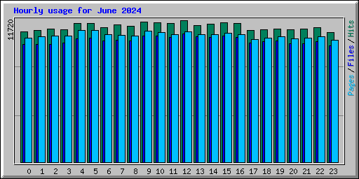 Hourly usage for June 2024