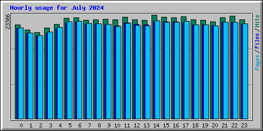 Hourly usage for July 2024