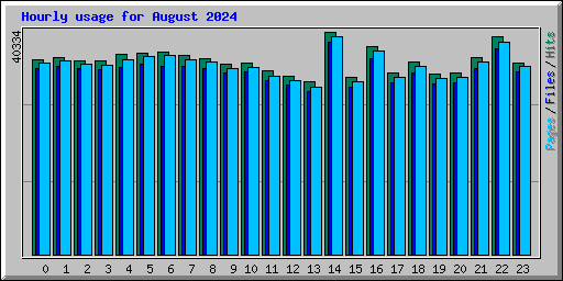 Hourly usage for August 2024